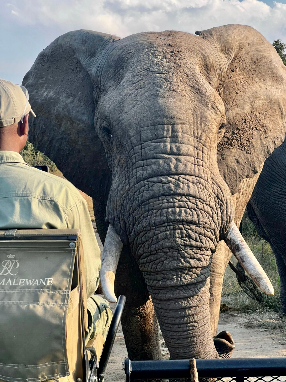 Taking an African Safari with Kids