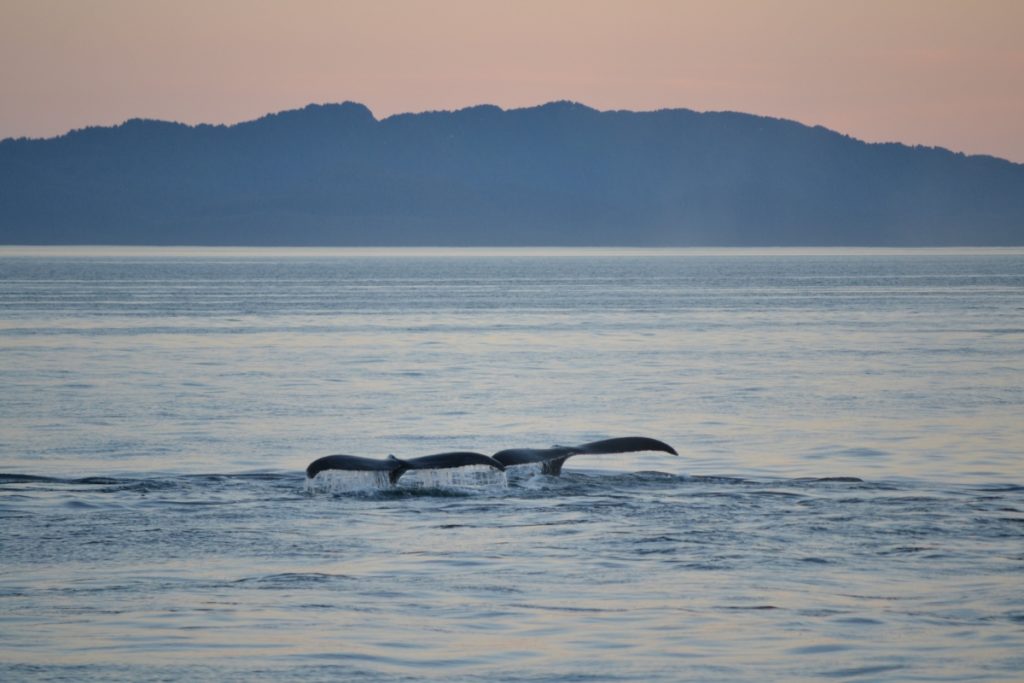 Alaska Family Vacation