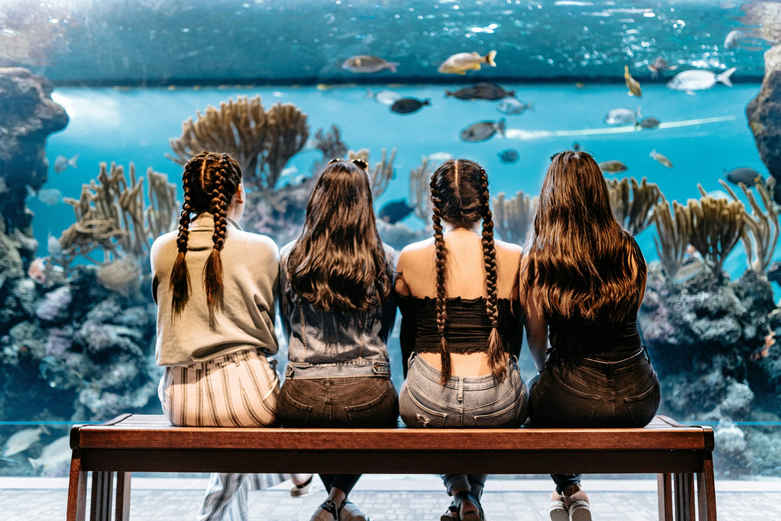 Four people sit on a wooden bench facing a large aquarium display, viewing tropical fish swimming among coral formations in clear blue water. The viewers, seen from behind, have various hairstyles including braids and loose hair, and are wearing casual clothing while observing the marine life through the glass tank.
