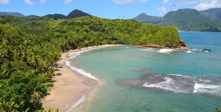 Dominica Family Vacations