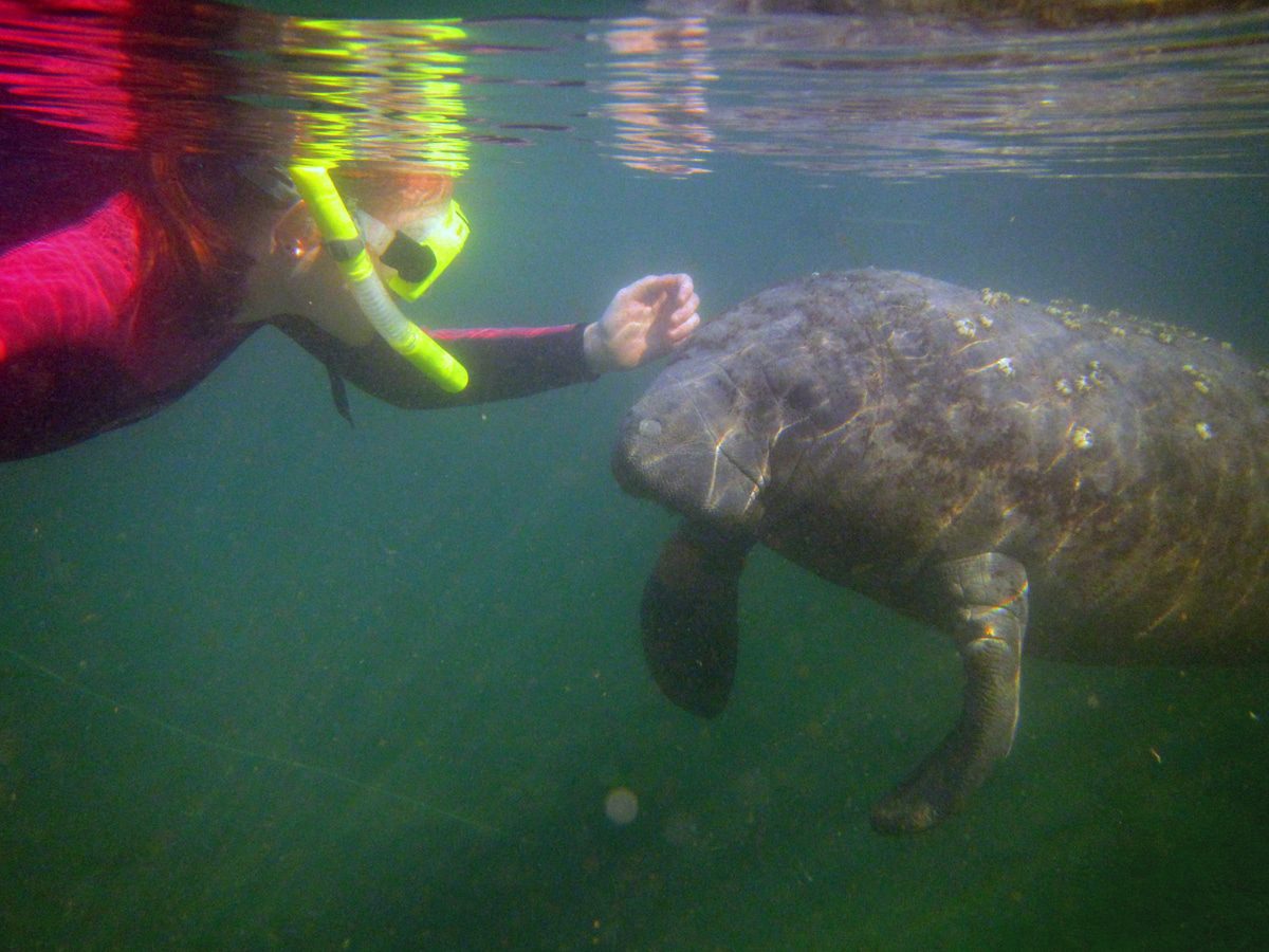 Mother-Daughter Trips, Crystal River, Florida