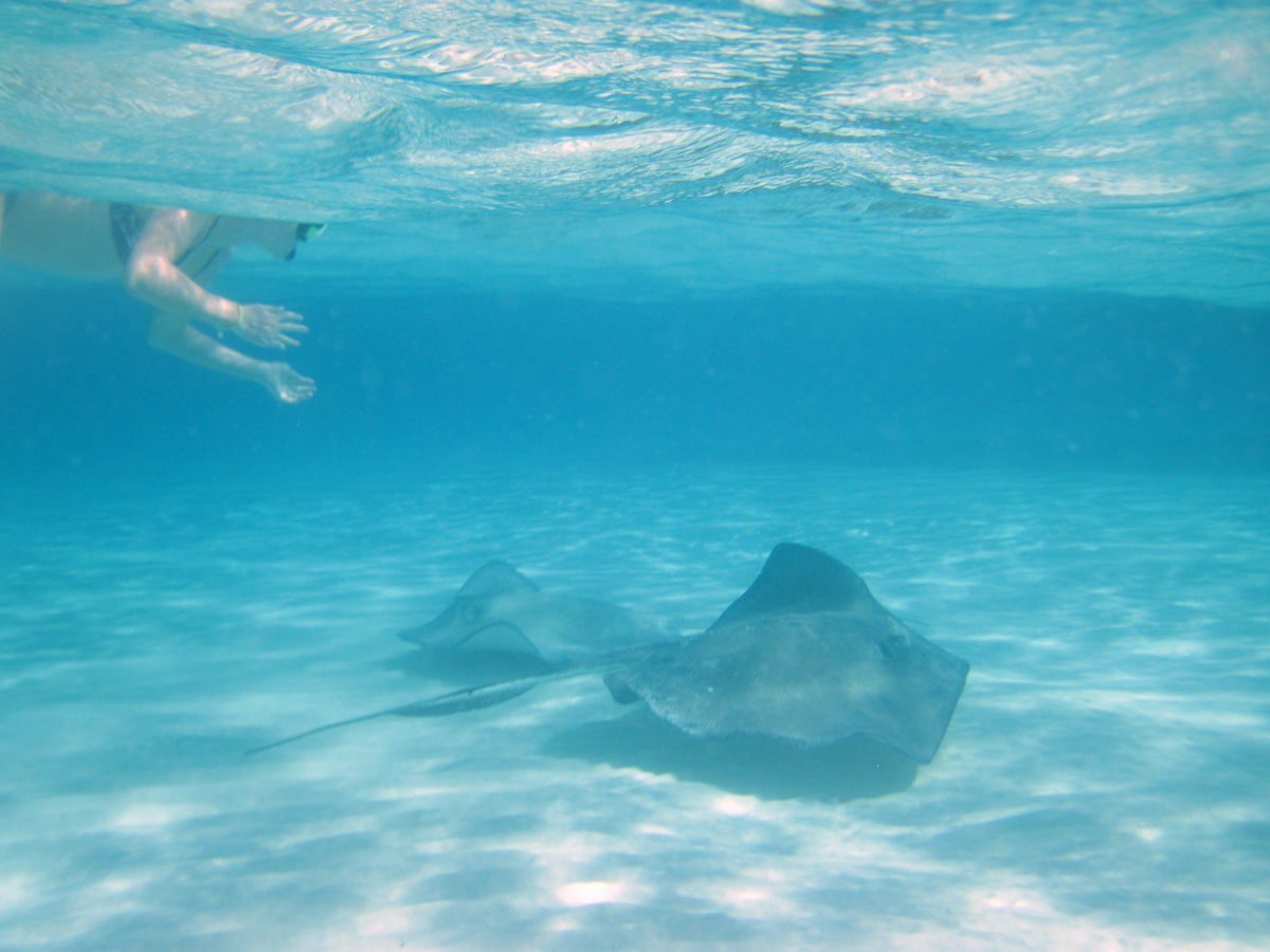 Mother-Daughter Trips, Grand Cayman