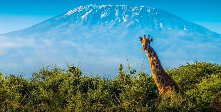 Tanzania Family Vacations