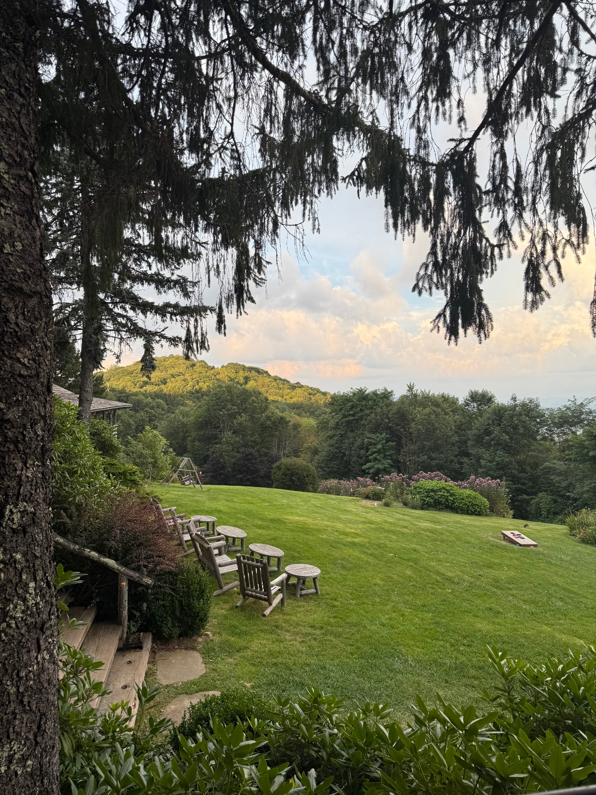 This image shows a landscaped outdoor area with a large green lawn surrounded by trees and vegetation, including a prominent tree with drooping branches in the foreground. Several wooden picnic tables and benches are positioned on the grass, with rolling forested hills visible in the background. The scene is captured during what appears to be sunset or sunrise, with a partly cloudy sky displaying soft lighting.